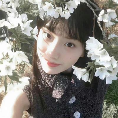 再生缘国语
